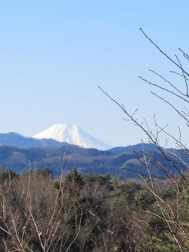 IMG_8273富士山.jpg